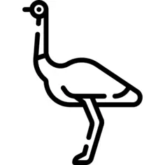 Ostrich