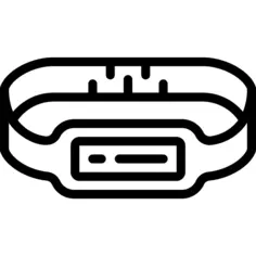 Smart belt