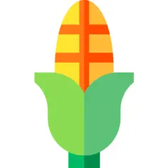 Corn