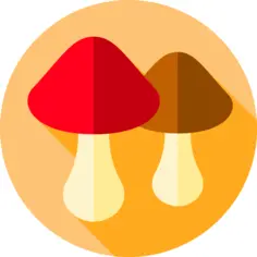 Mushroom
