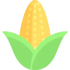Corn