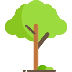 树