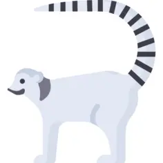 Lemur