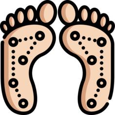 Foot