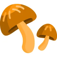 Mushroom