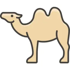 骆驼