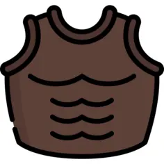 Armor