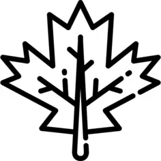 Maple leaf