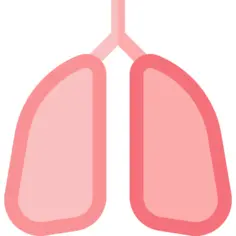 Lungs