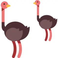 Ostrich