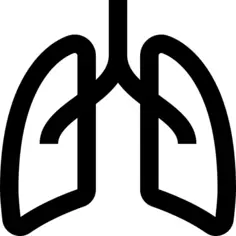 Lungs