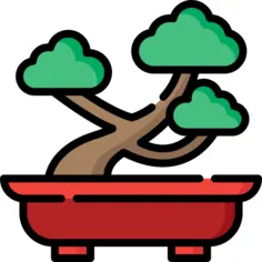 Bonsai