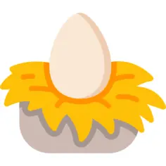 Egg