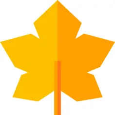 Maple leaf