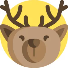 Reindeer