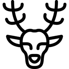 Reindeer