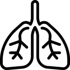 Lung