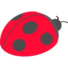 Ladybug