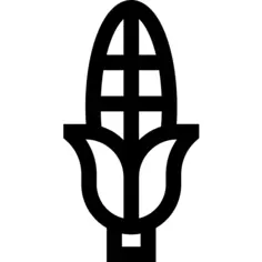 Corn