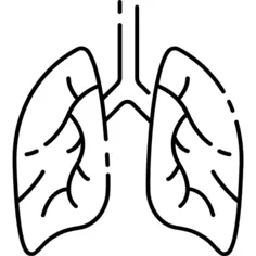 Lungs