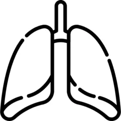 Lungs