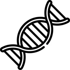 Dna
