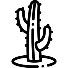 Cactus