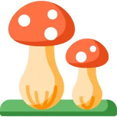 Mushroom