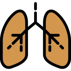 Lungs