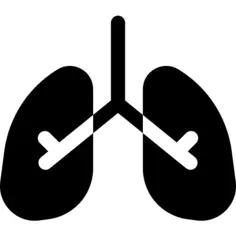 Lungs