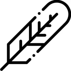Feather