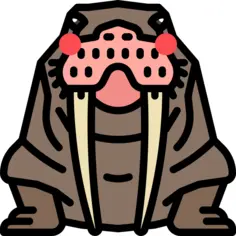 Walrus