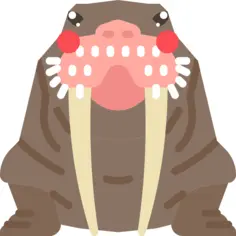 Walrus