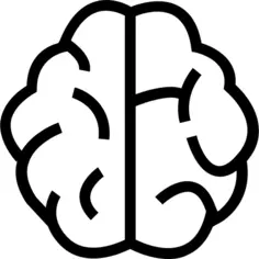 Brain