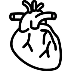 Heart