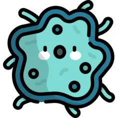 Bacteria