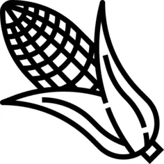 Corn