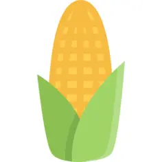 Corn