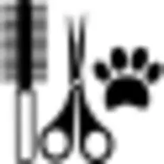 Pets hair salon tools kit