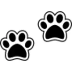 Dog pawprints