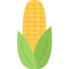 Corn