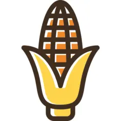 Corn