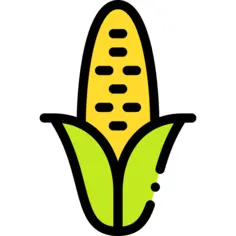 Corn