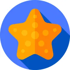 Starfish