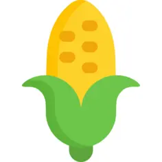 Corn