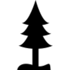 Pine
