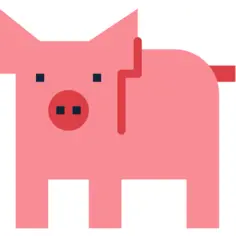 Pig