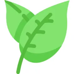 Leaf