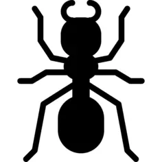 Ant