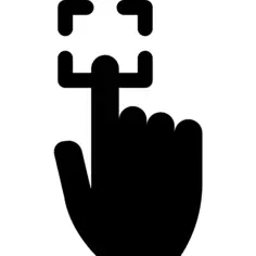 Fingerprint scanning